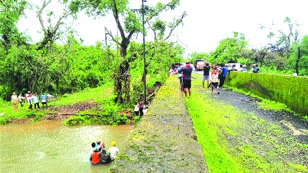 Sreesadasya working in the mountains for light. Electricity poles erected through Dr. Nanasaheb Dharmadhikari Pratishthan | प्रकाशासाठी डोंगरदऱ्यांत राबताहेत श्रीसदस्य, डॉ. नानासाहेब धर्माधिकारी प्रतिष्ठानच्या माध्यमातून विद्युत खांब उभे Sreesadasya working in the mountains for light. Electricity poles erected through Dr. Nanasaheb Dharmadhikari Pratishthan | प्रकाशासाठी डोंगरदऱ्यांत राबताहेत श्रीसदस्य, डॉ. नानासाहेब धर्माधिकारी प्रतिष्ठानच्या माध्यमातून विद्युत खांब उभे