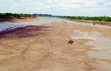 Bahali dries up, water goes out in Telangana, demands for settlement at CM level | बाभळी कोरडीठाक, पाणी गेले तेलंगणात, मुख्यमंत्री स्तरावर तोडग्याची मागणी