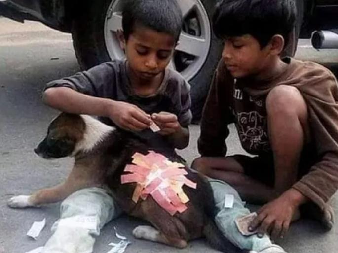 This viral picture win internet heart | शाब्बास! २ चिमुरड्यांनी दाखवलेल्या माणुसकीने नेटकऱ्यांचं मन जिंकलं , पाहा व्हायरल फोटो This viral picture win internet heart | शाब्बास! २ चिमुरड्यांनी दाखवलेल्या माणुसकीने नेटकऱ्यांचं मन जिंकलं , पाहा व्हायरल फोटो
