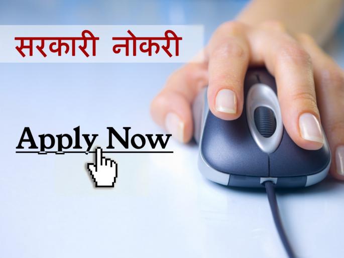 Opportunity to work in large government banks; LIC, SBI like Job options | Government Jobs: मोठ्या सरकारी बँकांमध्ये काम करण्याची संधी; चार ठिकाणी नोकरीचे पर्याय