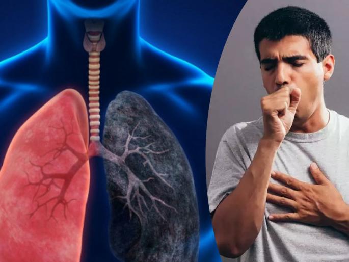5 food in your kithcen makes your lungs healthy | स्वयंपाकघरातील 'या' ५ पदार्थांच्या सेवनानं फुफ्फुसांना आजारांपासून ठेवा दूर 5 food in your kithcen makes your lungs healthy | स्वयंपाकघरातील 'या' ५ पदार्थांच्या सेवनानं फुफ्फुसांना आजारांपासून ठेवा दूर