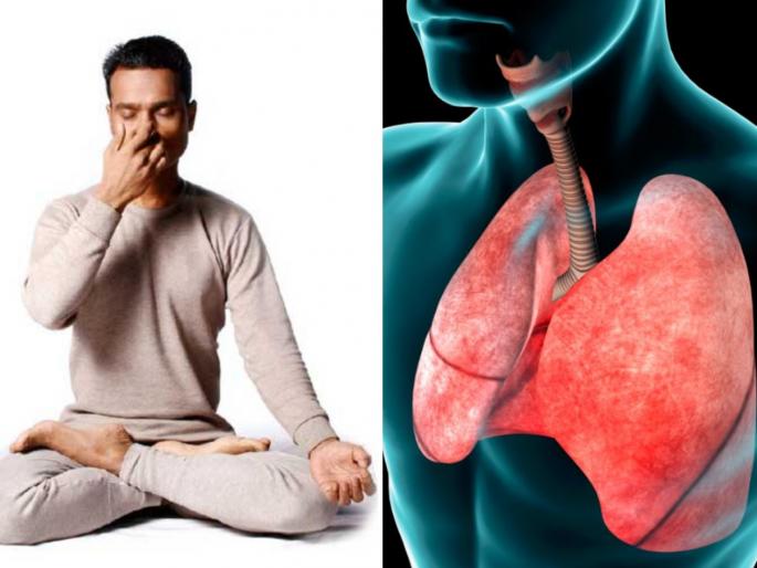 Interesting facts about breath system, know all about breathing system | दिवसभरातून तुम्ही कितीवेळा श्वास घेता आणि सोडता? वाचा श्वसनाबाबत माहीत नसलेल्या गोष्टी Interesting facts about breath system, know all about breathing system | दिवसभरातून तुम्ही कितीवेळा श्वास घेता आणि सोडता? वाचा श्वसनाबाबत माहीत नसलेल्या गोष्टी