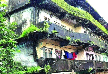 Re-study group for ‘SRA’? The lives of the occupants of the dangerous buildings are hanging | ‘एसआरए’साठी पुन्हा अभ्यास गट? धोकादायक इमारतींमधील रहिवाशांचा जीव टांगणीला Re-study group for ‘SRA’? The lives of the occupants of the dangerous buildings are hanging | ‘एसआरए’साठी पुन्हा अभ्यास गट? धोकादायक इमारतींमधील रहिवाशांचा जीव टांगणीला
