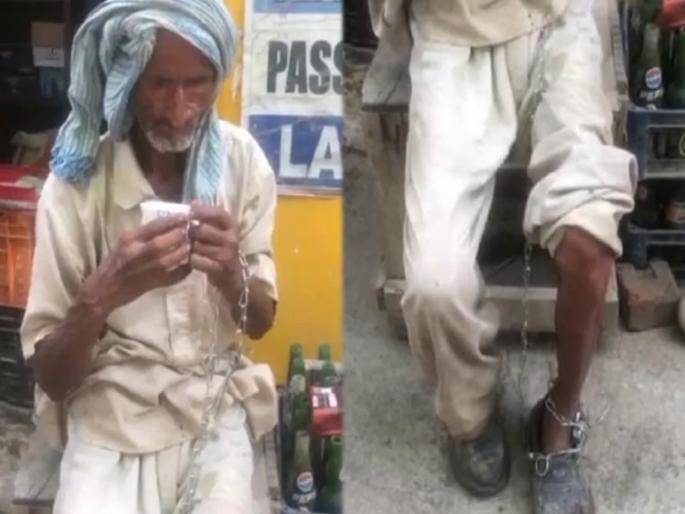 chandigarh city nephew tied his elderly uncle in chains with animals | क्रूरतेचा कळस! वृद्ध काकाला भाच्याने जनावरांसोबत साखळीने बांधलं, अशी झाली अवस्था chandigarh city nephew tied his elderly uncle in chains with animals | क्रूरतेचा कळस! वृद्ध काकाला भाच्याने जनावरांसोबत साखळीने बांधलं, अशी झाली अवस्था