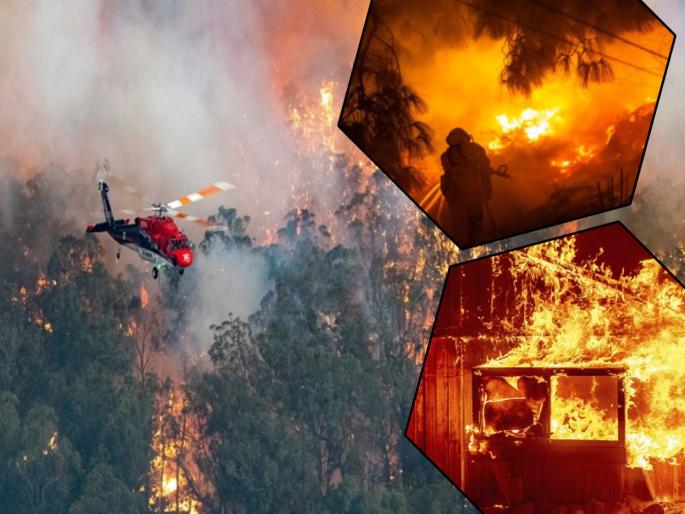 massive fire breaks out in california and oregon forests killing eight people | कॅलिफोर्नियाच्या जंगलात भीषण आग; 8 जणांचा मृत्यू, तब्बल 5 लाख लोक झाले बेघर massive fire breaks out in california and oregon forests killing eight people | कॅलिफोर्नियाच्या जंगलात भीषण आग; 8 जणांचा मृत्यू, तब्बल 5 लाख लोक झाले बेघर