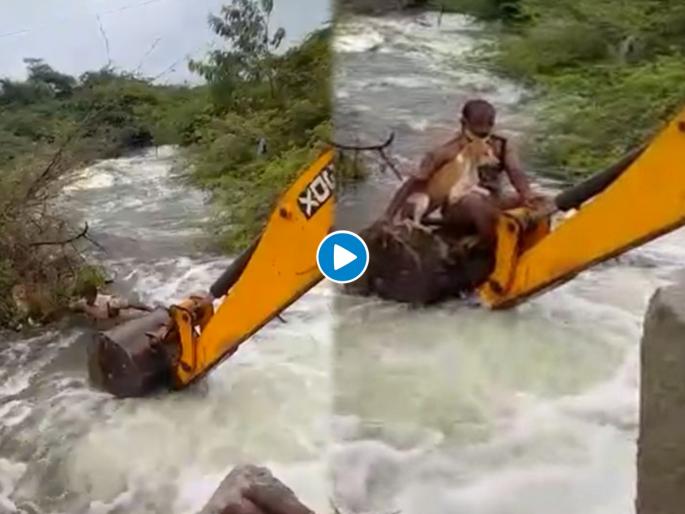Telangana home guard jawan rescues dog in overflowing stream in nagarkurnool viral video | त्रिवार सलाम! जेसीबीतून उडी घेत जवानानं वाचवले कुत्र्याचे प्राण; पाहा थरारक व्हिडीओ Telangana home guard jawan rescues dog in overflowing stream in nagarkurnool viral video | त्रिवार सलाम! जेसीबीतून उडी घेत जवानानं वाचवले कुत्र्याचे प्राण; पाहा थरारक व्हिडीओ