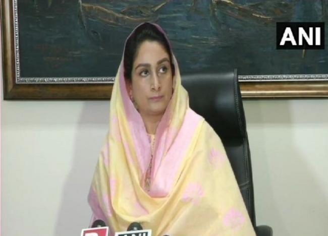 harsimrat kaur badal targets government over agriculture bills | "आम्ही आधी हात जोडत होतो, पण आता आपण दिल्ली हादरवू", हरसिमरत कौर यांचा इशारा harsimrat kaur badal targets government over agriculture bills | "आम्ही आधी हात जोडत होतो, पण आता आपण दिल्ली हादरवू", हरसिमरत कौर यांचा इशारा