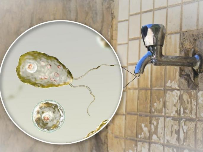 Human brain-eating amoeba found in water in US, issued warning instructions | पाण्यात सापडला मानवी मेंदू खाणारा जीवाणू, खबरदारीच्या सूचना जारी Human brain-eating amoeba found in water in US, issued warning instructions | पाण्यात सापडला मानवी मेंदू खाणारा जीवाणू, खबरदारीच्या सूचना जारी
