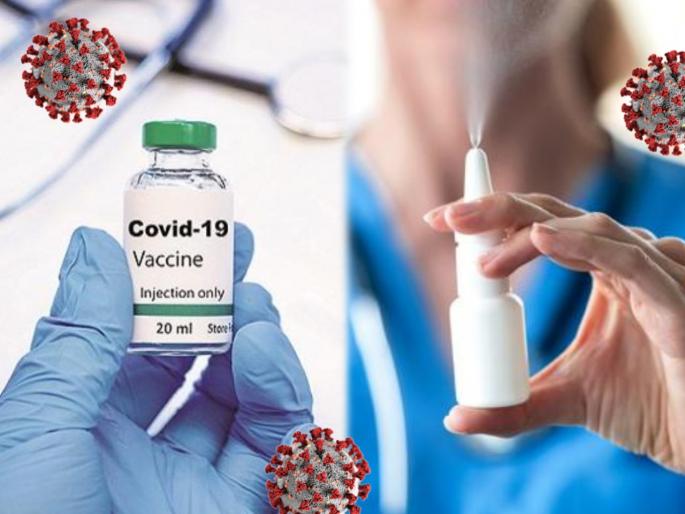 Coronavirus nasal vaccine explained a vaccine via the nose know about this vaccine | आता नाकाद्वारे दिली जाणार कोरोनाची लस; इंजेक्शनच्या तुलनेत 'अशी' ठरणार प्रभावी Coronavirus nasal vaccine explained a vaccine via the nose know about this vaccine | आता नाकाद्वारे दिली जाणार कोरोनाची लस; इंजेक्शनच्या तुलनेत 'अशी' ठरणार प्रभावी