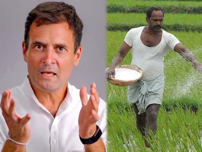 congress leader rahul gandhi conversation farmers social media platforms | "शेतकऱ्यांच्या आवाजाने हिंदुस्थान पुन्हा एकदा स्वतंत्र होईल", राहुल गांधींची शेतकऱ्यांशी 'दिल की बात'