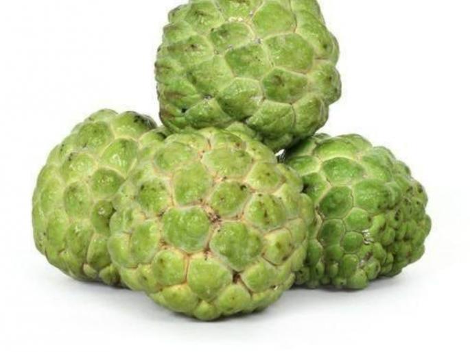 The lack of tourists,sale of custard apple decreases | पर्यटक नसल्याचा फटका सीताफळांना