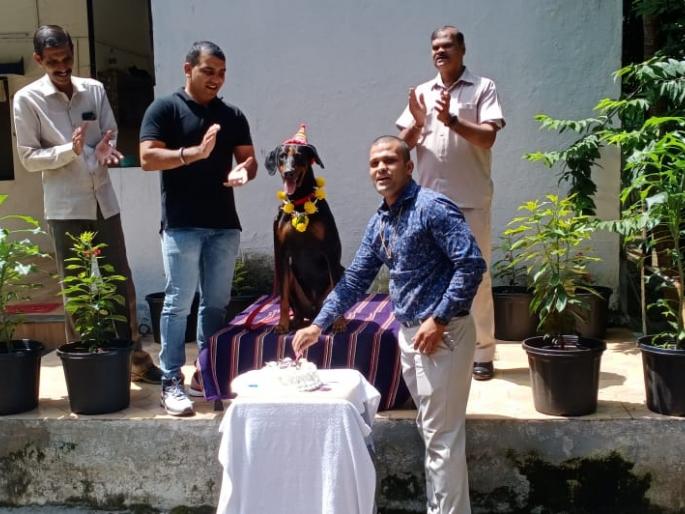 Tarbej 'Google' turns three years old! Valuable performance in crimes like robbery, murder, burglary | तरबेज 'गुगल' झाला तीन वर्षांचा! दरोडे, खून, घरफोडयांसारख्या गुन्ह्यांप्रसंगी बहुमोल कामगिरी Tarbej 'Google' turns three years old! Valuable performance in crimes like robbery, murder, burglary | तरबेज 'गुगल' झाला तीन वर्षांचा! दरोडे, खून, घरफोडयांसारख्या गुन्ह्यांप्रसंगी बहुमोल कामगिरी