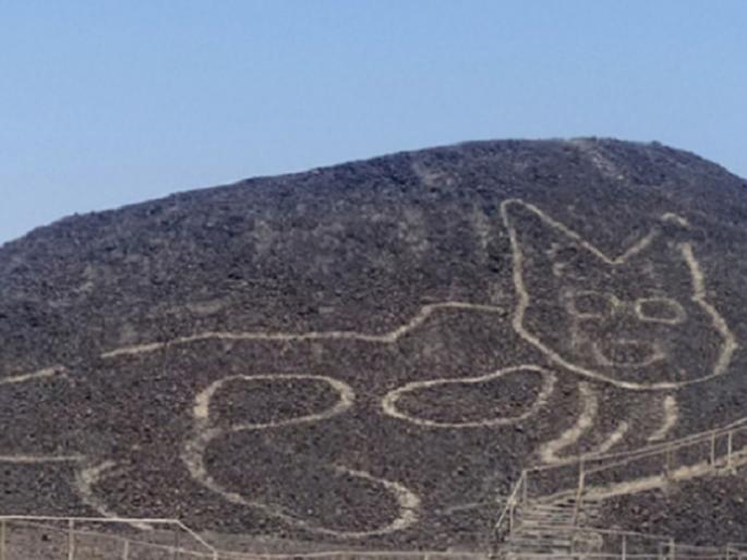 121 foot cat found in peruvian desert 300 sketches found | काय सांगता? वाळवंटी प्रदेशात आढळली तब्बल 2000 वर्षे जुनी 121 फुटांची "मांजर" 121 foot cat found in peruvian desert 300 sketches found | काय सांगता? वाळवंटी प्रदेशात आढळली तब्बल 2000 वर्षे जुनी 121 फुटांची "मांजर"