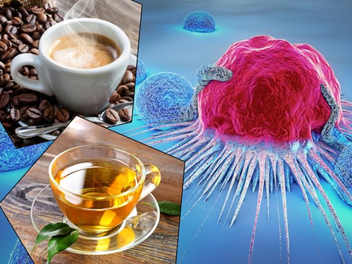 Drinking coffee and green tea daily may lower risk of death due to diabetes says study | रोज ग्रीन टी, कॉफी प्यायल्याने टळू शकतील 'या' आजारांमुळे होणारे मृत्यू, नव्या रिसर्चमधून दावा Drinking coffee and green tea daily may lower risk of death due to diabetes says study | रोज ग्रीन टी, कॉफी प्यायल्याने टळू शकतील 'या' आजारांमुळे होणारे मृत्यू, नव्या रिसर्चमधून दावा
