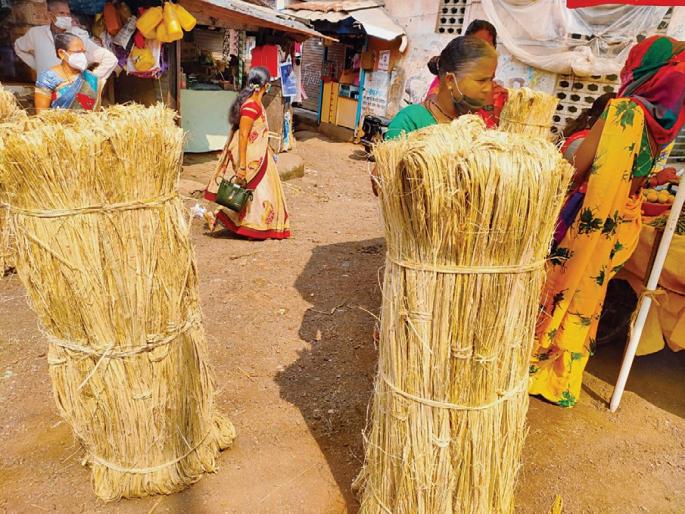 Hunger of tribals weaving bamboo bonds, farmers prefer cloth strips | बांबूचे बंध विणणाऱ्या आदिवासींची उपासमार, शेतकऱ्यांची कापडी पट्ट्यांना पसंती Hunger of tribals weaving bamboo bonds, farmers prefer cloth strips | बांबूचे बंध विणणाऱ्या आदिवासींची उपासमार, शेतकऱ्यांची कापडी पट्ट्यांना पसंती