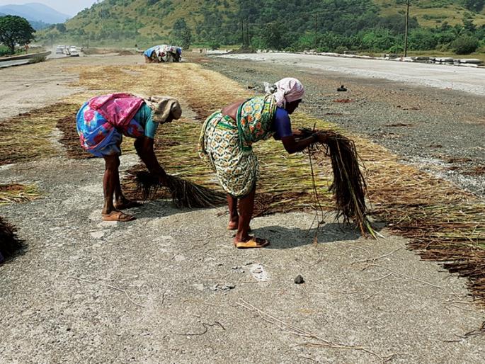 Inquiries in Mahad taluka are incomplete, farmers will face starvation | महाड तालुक्यातील नुकसानीचे पंचनामे अर्धवट, शेतकऱ्यांवर येणार उपासमारीची वेळ Inquiries in Mahad taluka are incomplete, farmers will face starvation | महाड तालुक्यातील नुकसानीचे पंचनामे अर्धवट, शेतकऱ्यांवर येणार उपासमारीची वेळ