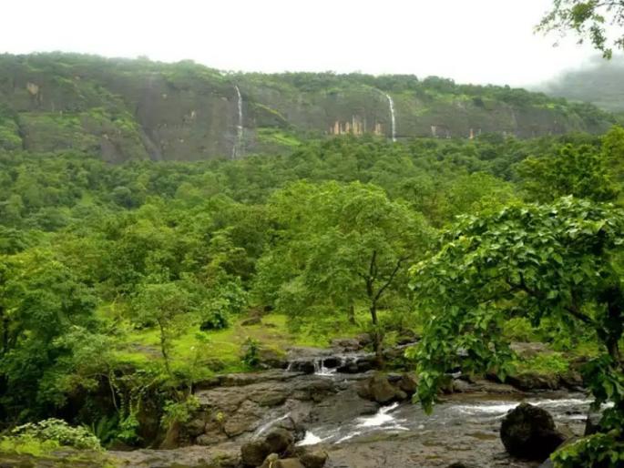 Opposing Bhimashankar Eco Sensitive Zone, MLAs met the state environment minister | भीमाशंकर इको सेन्सिटिव्ह झोनला विरोध, आमदारांनी घेतली राज्याच्या पर्यावरणमंत्र्यांची भेट