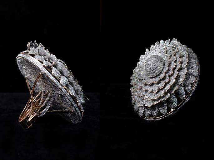 12638 diamond ring in Guinness Book | १२६३८ हिऱ्यांची अंगठी गिनीज बुकमध्ये  