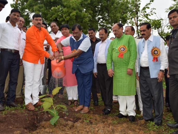 After the Jalyukt Shivar Yojana, cross checking will be tree planting by forest rangers | जलयुक्त शिवार योजनेनंतर वृक्ष लागवडीची झाडाझडती, वनसंरक्षकांमार्फत होणार ‘क्राॅस चेकिंग’