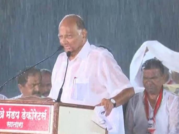 Sharad Pawar: Sahyadri in the rain! | Sharad Pawar : पावसातला सह्याद्री ! Sharad Pawar: Sahyadri in the rain! | Sharad Pawar : पावसातला सह्याद्री !