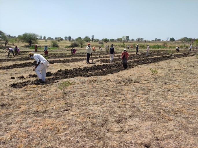 Migrant workers from Lockdown return to the city | लॉकडाऊनमधील स्थलांतरित मजूर पुन्हा परतले शहरात; रोजगार हमी योजनेवरील मजुरांची संख्या घटली Migrant workers from Lockdown return to the city | लॉकडाऊनमधील स्थलांतरित मजूर पुन्हा परतले शहरात; रोजगार हमी योजनेवरील मजुरांची संख्या घटली