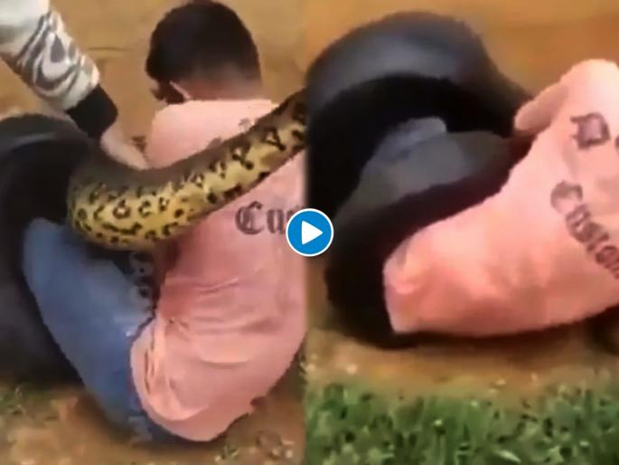 Watch shocking video huge snake coils itself around mans legs | थरारक! विशालकाय अजगराच्या विळख्यात अडकला तरूण; अन् सुटका करताना झालं असं काही.... Watch shocking video huge snake coils itself around mans legs | थरारक! विशालकाय अजगराच्या विळख्यात अडकला तरूण; अन् सुटका करताना झालं असं काही....
