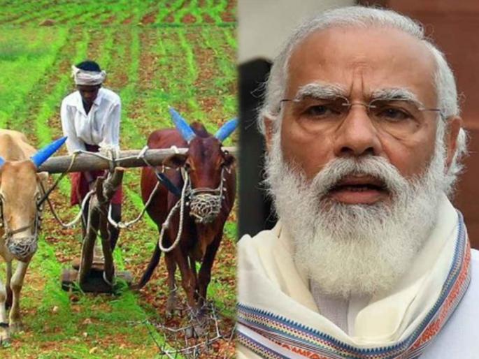 farmers in india kisan gets rs 15 lacs what is fpo in agriculture how many fpo are there in india | मोदी सरकार "या" योजनेअंतर्गत शेतकऱ्यांना देणार 15 लाख; जाणून घ्या कसा होणार फायदा farmers in india kisan gets rs 15 lacs what is fpo in agriculture how many fpo are there in india | मोदी सरकार "या" योजनेअंतर्गत शेतकऱ्यांना देणार 15 लाख; जाणून घ्या कसा होणार फायदा