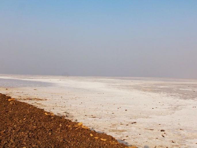 gujarat kutch cattle herder who crossed over to pakistan in 2008 returns to india | तब्बल 13 वर्षानंतर पाकिस्तानवरुन परतला गुजरातचा मेंढपाळ, 2008 मध्ये चुकून केली होती बॉर्डर पार gujarat kutch cattle herder who crossed over to pakistan in 2008 returns to india | तब्बल 13 वर्षानंतर पाकिस्तानवरुन परतला गुजरातचा मेंढपाळ, 2008 मध्ये चुकून केली होती बॉर्डर पार