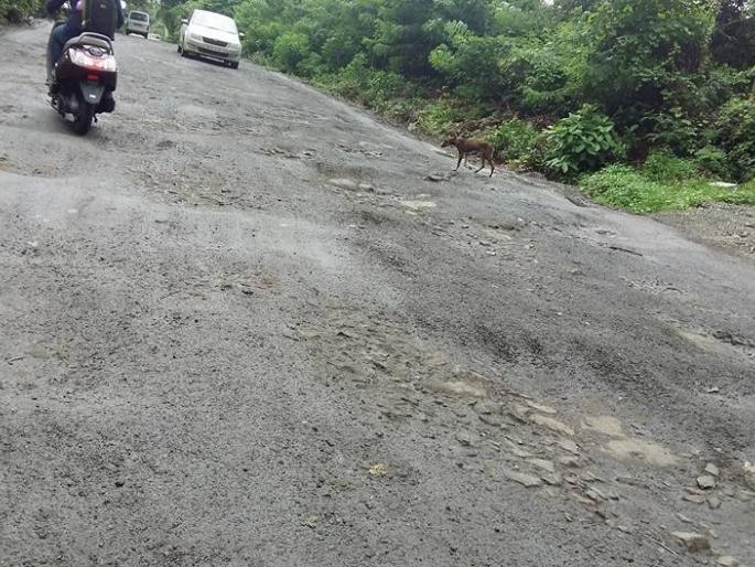 Permission of Center for repair of Alibag-Wadkhal road | अलिबाग-वडखळ रस्त्याच्या दुरुस्तीसाठी केंद्राची परवानगी, दिलीप जाेग यांच्या आंदाेलनाला यश Permission of Center for repair of Alibag-Wadkhal road | अलिबाग-वडखळ रस्त्याच्या दुरुस्तीसाठी केंद्राची परवानगी, दिलीप जाेग यांच्या आंदाेलनाला यश
