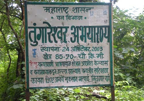 Habitat of animals in Tungareshwar Sanctuary endangered | तुंगारेश्वर अभयारण्यातील प्राण्यांचा अधिवास धोक्यात Habitat of animals in Tungareshwar Sanctuary endangered | तुंगारेश्वर अभयारण्यातील प्राण्यांचा अधिवास धोक्यात