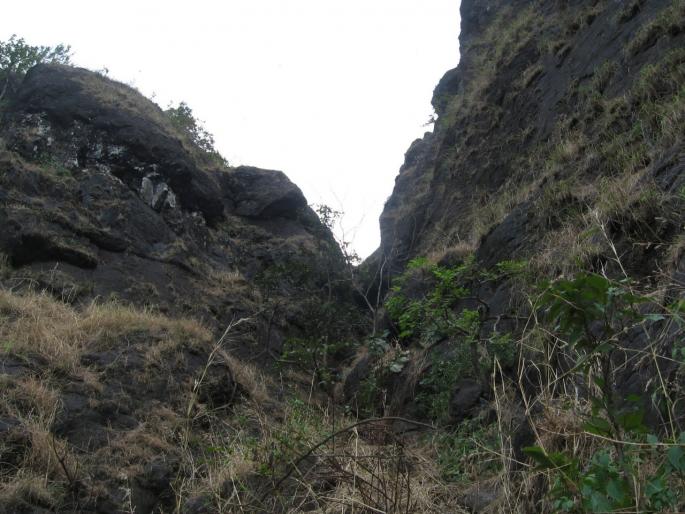 Accelerate Padargad Conservation Campaign in Karjat | कर्जतमधील पदरगड संवर्धन मोहिमेला गती Accelerate Padargad Conservation Campaign in Karjat | कर्जतमधील पदरगड संवर्धन मोहिमेला गती