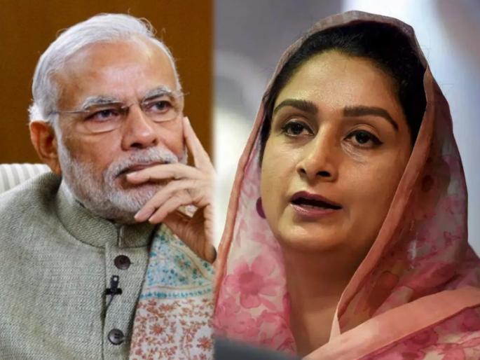 harsimrat kaur said farmers are standing at their rate the pm modi is still talking about phone | "शेतकऱ्यांना दिली जाणारी वागणूक ही लाजिरवाणी गोष्ट"; हरसिमरत कौर बादल संतापल्या, म्हणाल्या... harsimrat kaur said farmers are standing at their rate the pm modi is still talking about phone | "शेतकऱ्यांना दिली जाणारी वागणूक ही लाजिरवाणी गोष्ट"; हरसिमरत कौर बादल संतापल्या, म्हणाल्या...