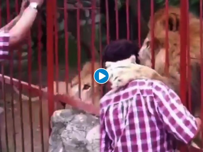 Hug day : When lion hug woman people found that is the true love | Hug day : याला म्हणतात प्रेम! सिंहानं महिलेला मारली मीठी अन् साजरा केला हग डे; व्हिडीओ पाहून लोक म्हणाले.... Hug day : When lion hug woman people found that is the true love | Hug day : याला म्हणतात प्रेम! सिंहानं महिलेला मारली मीठी अन् साजरा केला हग डे; व्हिडीओ पाहून लोक म्हणाले....