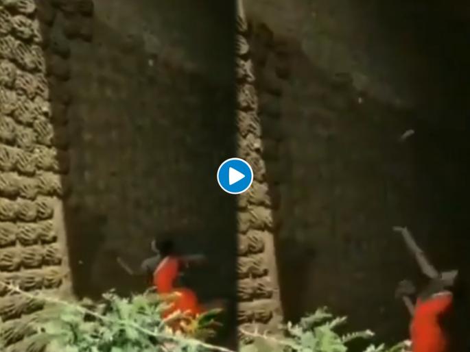 Viral video of an indian woman sticking cow dung cake on wall like a pro | १ नंबर! भारतीय महिलेनं शेणानं सजवली भिंत; भन्नाट व्हिडीओ व्हायरल होताच लोक म्हणाले..... Viral video of an indian woman sticking cow dung cake on wall like a pro | १ नंबर! भारतीय महिलेनं शेणानं सजवली भिंत; भन्नाट व्हिडीओ व्हायरल होताच लोक म्हणाले.....