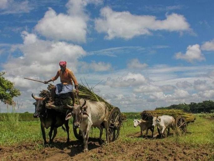 soil health card scheme you can earn good money from this yoajana know all details about this | भारीच! गावात शेतीशिवाय कमाईची सुवर्णसंधी, 'या' योजनेअंतर्गत व्यवसायासाठी मिळणार तब्बल 3.75 लाख soil health card scheme you can earn good money from this yoajana know all details about this | भारीच! गावात शेतीशिवाय कमाईची सुवर्णसंधी, 'या' योजनेअंतर्गत व्यवसायासाठी मिळणार तब्बल 3.75 लाख