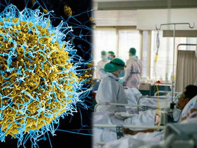 Ebola outbreaks : Ebola lingered in survivor for 5 years before new outbreak science | Ebola Virus hidden in human body : तब्बल ५ वर्ष माणसांच्या शरीरात लपून होता हा व्हायरस; आता पुन्हा वेगानं होतंय संक्रमण, ९ रूग्णांचा मृत्यू Ebola outbreaks : Ebola lingered in survivor for 5 years before new outbreak science | Ebola Virus hidden in human body : तब्बल ५ वर्ष माणसांच्या शरीरात लपून होता हा व्हायरस; आता पुन्हा वेगानं होतंय संक्रमण, ९ रूग्णांचा मृत्यू