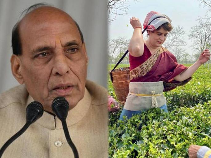 Assam Assembly Election 2021 Rajnath Singh addresses rally in targeted Congress Priyanka Gandhi | "जे 'चायवाला' म्हणून पंतप्रधानांची खिल्ली उडवत होते, तेच आज चहापत्ती खुडत आहेत", भाजपाचा सणसणीत टोला Assam Assembly Election 2021 Rajnath Singh addresses rally in targeted Congress Priyanka Gandhi | "जे 'चायवाला' म्हणून पंतप्रधानांची खिल्ली उडवत होते, तेच आज चहापत्ती खुडत आहेत", भाजपाचा सणसणीत टोला