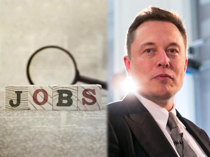 elon musk promises to give 10 thousand jobs in tesla college degree will not be required for job | भारीच! आता डिग्रीशिवाय मिळणार Tesla मध्ये नोकरीची संधी; एलन मस्क यांची 10,000 लोकांना रोजगार देण्याची घोषणा