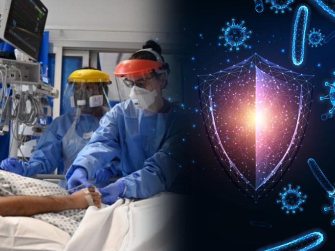 How to boost Immunity : How to boost immune system to fight corona virus | Immunity Tips : समोर आलं इम्यूनिटी कमकुवत होण्याचं कारण; कोरोनाकाळात कसा कराल संसर्गापासून बचाव? वाचा तज्ज्ञांचा सल्ला How to boost Immunity : How to boost immune system to fight corona virus | Immunity Tips : समोर आलं इम्यूनिटी कमकुवत होण्याचं कारण; कोरोनाकाळात कसा कराल संसर्गापासून बचाव? वाचा तज्ज्ञांचा सल्ला