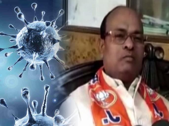 CoronaVirus Live Updates bjp mla devendra singh lodhi claim that cow urine help to reduce corona from body | CoronaVirus Live Updates : "रोज गोमूत्र प्यायल्यास कधीच होणार नाही कोरोना"; भाजपा आमदाराचा अजब दावा CoronaVirus Live Updates bjp mla devendra singh lodhi claim that cow urine help to reduce corona from body | CoronaVirus Live Updates : "रोज गोमूत्र प्यायल्यास कधीच होणार नाही कोरोना"; भाजपा आमदाराचा अजब दावा