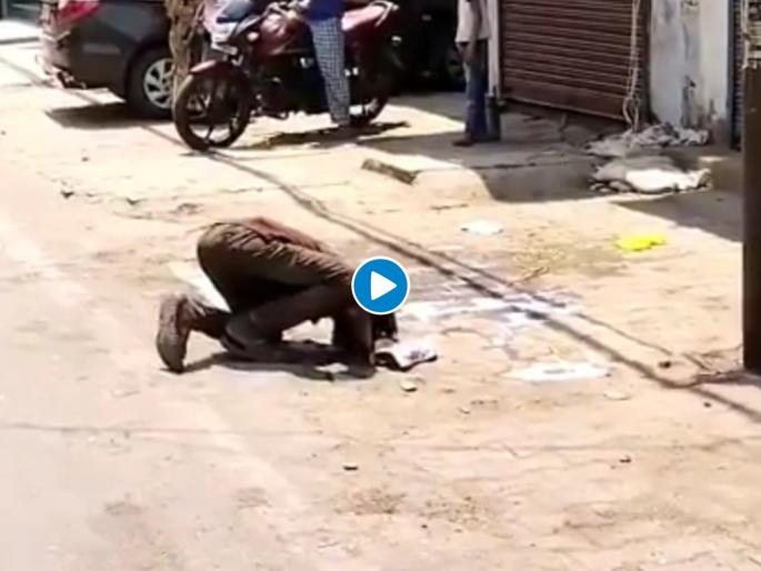 Video lockdown laborers were forced to drink bread of the city the milk that fell in the ground | Video - केविलवाणी धडपड! भूक भागवण्यासाठी "तो" रस्त्यावर सांडलेलं दूध प्यायला; मन सुन्न करणारी घटना