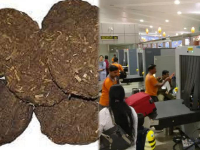 America airport cow dung cakes in leftover baggage of indian passenger | काय सांगता राव! पठ्ठ्यानं भारतातून अमेरिकेत नेल्या शेणाच्या गोवऱ्या; एअरपोर्टवरच कारवाई झाली अन् मग.... America airport cow dung cakes in leftover baggage of indian passenger | काय सांगता राव! पठ्ठ्यानं भारतातून अमेरिकेत नेल्या शेणाच्या गोवऱ्या; एअरपोर्टवरच कारवाई झाली अन् मग....