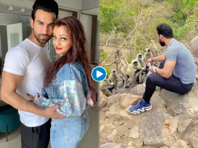Animal lover Mr. And Mrs. Kharera reached the forest !, watch her video | प्राणी प्रेमी मि. अँड मिसेस खरेरा! मानसी नाईक नवऱ्यासोबत पोहोचली जंगलात !, पहा त्यांंचा व्हिडीओ Animal lover Mr. And Mrs. Kharera reached the forest !, watch her video | प्राणी प्रेमी मि. अँड मिसेस खरेरा! मानसी नाईक नवऱ्यासोबत पोहोचली जंगलात !, पहा त्यांंचा व्हिडीओ