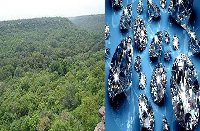 2 lakh trees sacrificed to extract diamonds from mines? Environmentalists will make intense agitation | खाणींतून हिरे काढण्यासाठी २ लाख झाडांचा बळी? पर्यावरणवादी करणार तीव्र आंदोलन 2 lakh trees sacrificed to extract diamonds from mines? Environmentalists will make intense agitation | खाणींतून हिरे काढण्यासाठी २ लाख झाडांचा बळी? पर्यावरणवादी करणार तीव्र आंदोलन
