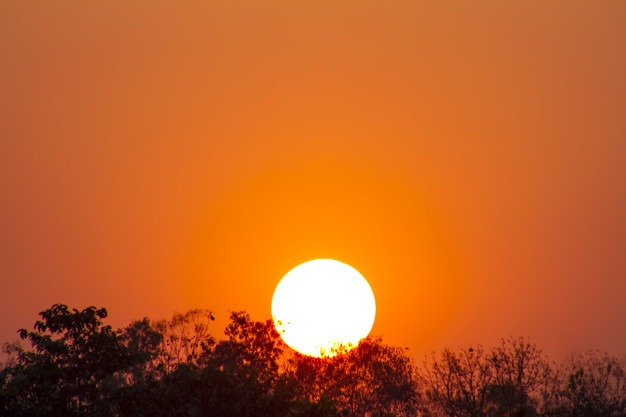 Sun's entry into Rohini Nakshatra; Signs of rising temperature | सूर्याचा ‘रोहिणी’त प्रवेश; तापमान वाढण्याची चिन्हे Sun's entry into Rohini Nakshatra; Signs of rising temperature | सूर्याचा ‘रोहिणी’त प्रवेश; तापमान वाढण्याची चिन्हे