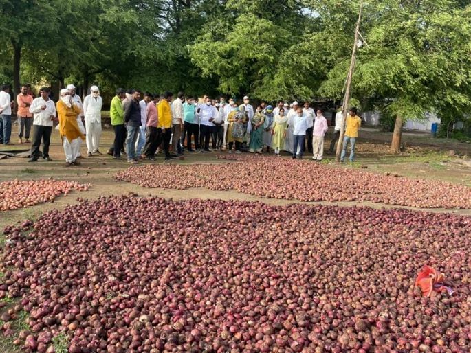 Torrential rains cause severe damage to farmers; Order to conduct Panchnama of Zilla Parishad President | मुसळधार पावसाने शेतकऱ्यांचे अतोनात नुकसान; जिल्हा परिषद अध्यक्षांचे पंचनामा करण्याचे आदेश