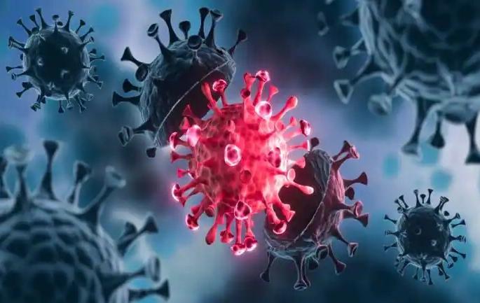 Coronavirus: Chinese researchers find 24 types of corona virus, some similar to covid-19 | Coronavirus: चिनी संशोधकांनी शोधले २४ प्रकारचे कोरोना विषाणू, काही तर...