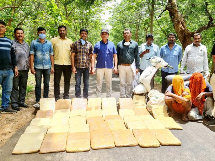 Inter-state cannabis mafia busted, two arrested with 90 kg of cannabis worth Rs 30 lakh | आंतरराज्यीय गांजा माफियांचा पर्दाफाश, ३० लाखाच्या ९० किलो गांजासह दोघांना सुमठाना जंगलातून केली अटक 