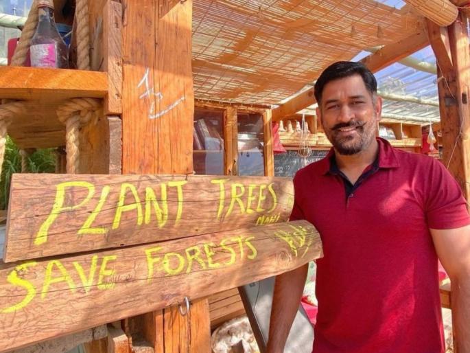 MS Dhoni Shares Message to 'Plant Trees' But Twitter is Divided; Here's Why | झाडं लावा, जंगल वाचवा!, महेंद्रसिंग धोनीनं दिला संदेश, पण होतोय ट्रोल; जाणून घ्या कारण