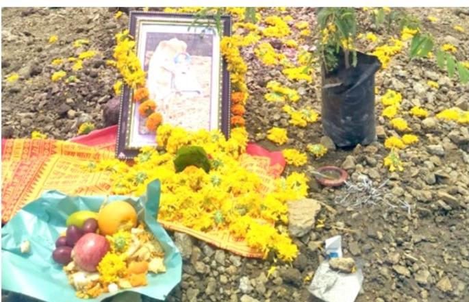 After the death of the beloved bull, the farmer performed the terave and tarpan rituals | कृतज्ञता! लाडक्या बैलाच्या मृत्यूनंतर शेतकऱ्याने केली तेरवी, तर्पण विधीही केला After the death of the beloved bull, the farmer performed the terave and tarpan rituals | कृतज्ञता! लाडक्या बैलाच्या मृत्यूनंतर शेतकऱ्याने केली तेरवी, तर्पण विधीही केला